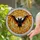 duiyfppz/products/6a2240ee71e4eb5caf4f873c/gallery/9H64YdhloE