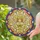 duiyfppz/products/6a22416b6ef7c506f619a792/gallery/6r81E9Cdmb