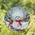 duiyfppz/products/6a2241d971e4eb4d3f4f899b/gallery/5we8PgK_hS