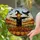 duiyfppz/products/6a22423080782ae37004aa20/gallery/gcjtKtzeGP