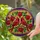 duiyfppz/products/6a2242d1d49e4c7132694590/gallery/8Sits-4foq