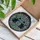 duiyfppz/products/6a2243a9d49e4c299369476a/gallery/Bs0em_AQ2b