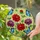 duiyfppz/products/6a2244ac4e4edd20f9ca3f2d/gallery/mM64CXcMbj