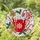 duiyfppz/products/6a22461031e6d6a9792604cd/gallery/OGVe1qeXde