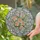duiyfppz/products/6a2246e571e4eb68a74f95b8/gallery/pY3Xgtt3On