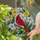 duiyfppz/products/6a2247ccd49e4ce6b66950a2/gallery/KAFT12Q0J5