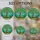 duiyfppz/products/6a22489080782a722604b7b6/gallery/DanrkiHnxl