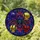 duiyfppz/products/6a22493cd1af21b8eb5ea844/gallery/sqKnm8r_AR