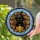 duiyfppz/products/6a224a1831e6d69d68261ced/gallery/j9wHqTZLuX