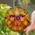 duiyfppz/products/6a224a3954cbe96fd7f1e16e/gallery/jhSCfXaZaZ