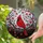 duiyfppz/products/6a224a5d71e4ebef8a4faa7e/gallery/phSf3-Njgp