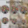 duiyfppz/products/6a224bc04e4edd5689ca6085/gallery/yNz5QiV5oN