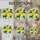 duiyfppz/products/6a224d2071e4eb6a934fb1b4/gallery/HFLXYXbkfn