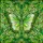 duiyfppz/products/6a224d6609d1993f23fc6cad/gallery/GfRMrJf_4y