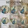duiyfppz/products/6a224d871d005c52846e0bbe/gallery/n0M3DeKMxw