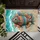 Wooden Fish Seashell Starfish - Coastal Home Decor Gift Doormat - 6