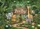It's a Boy Baby Safari Animals Jungle - New Baby Boy Celebration Gift Doormat - 7