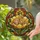 Light Brown Sleeping Baby Bunny Yellow Flower With Green Leaves Home Decor Gift Stained Glass Suncatcher - 2