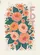 Word Foot Coral Peach Orange Blossoms Teal Green Foliage Reddish Dots - Home Decor Gift Garden Flag - 6