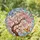 Gnarled Cherry Blossom Branch Pink Flowers Blue Orange Butterflies - Home Decor Gift Stained Glass Suncatcher - 1