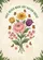 duiyfppz/products/6a266f49ba3ba34b0a3a157a/gallery/51TUh0Qa_m