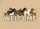 duiyfppz/products/6a26704c78e7a213469e5a6e/gallery/o2FIF8rrLE