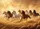 duiyfppz/products/6a267149171a805dc2d432d4/gallery/U2RESfaJ5_