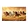 duiyfppz/products/6a267149171a805dc2d432d4/gallery/U35pzixpkn