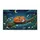 duiyfppz/products/6a267204ba3ba356603a1c3a/gallery/3oSNdBzr1C