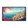 duiyfppz/products/6a2672ee171a80885cd43705/gallery/RidZ4qukhU