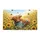 duiyfppz/products/6a26730ae511b2e0a72e284c/gallery/qP_EX325ac