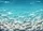 duiyfppz/products/6a26755a78e7a21e489e6382/gallery/Hyttw7B3w3