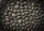 duiyfppz/products/6a2675c8bcdd9e7497ea00c0/gallery/MLqT1dlVy-