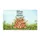 duiyfppz/products/6a26770d171a803afbd43d89/gallery/1zGkyT576M