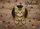 duiyfppz/products/6a2679a5e511b2b12b2e324b/gallery/OQV87dQM8M