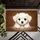 duiyfppz/products/6a2679bd3b0fa60930671877/gallery/TXDs9jctwQ