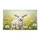 duiyfppz/products/6a2679d176ce487d820446be/gallery/puU7YR5OC4