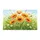 duiyfppz/products/6a267a3b54b02e3f718a281f/gallery/4XDG1pFDBz