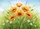 duiyfppz/products/6a267a3b54b02e3f718a281f/gallery/euQGhO3fZ6