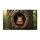 duiyfppz/products/6a267aa696d54de1bdf4b131/gallery/vFcsM0AMcK