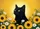 duiyfppz/products/6a267b7a948c6e0a44779b35/gallery/XwvoHDtM3x