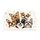 duiyfppz/products/6a267eeeba3ba33d1c3a33d2/gallery/atsPOE4cPb