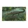 duiyfppz/products/6a267f7d3b0fa614ef672dcd/gallery/GKyXDXRSt9