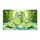duiyfppz/products/6a26848054b02e14c38a3cba/gallery/UsJiwvTcNC