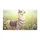 duiyfppz/products/6a2684aa78e7a236af9e85a3/gallery/bWVZM3zkUU