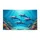 duiyfppz/products/6a26892176ce4858a1046ef9/gallery/eeAXr7DLGU