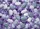 duiyfppz/products/6a268bed76ce48eac5047a98/gallery/MODthP2IOQ