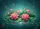 duiyfppz/products/6a268db6e511b27dee2e5b82/gallery/MQHQBH4tHt