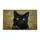 duiyfppz/products/6a26934d96d54dcdddf50dce/gallery/5HBC5G7ykF