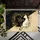 duiyfppz/products/6a26979f8852be6602d37c76/gallery/yTBIIphGHr